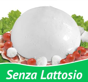 Mozzarella senza lattosio